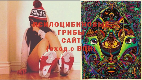 гашиш Няндома