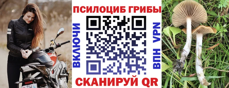 сайты даркнета какой сайт  Свободный  Галлюциногенные грибы Cubensis 