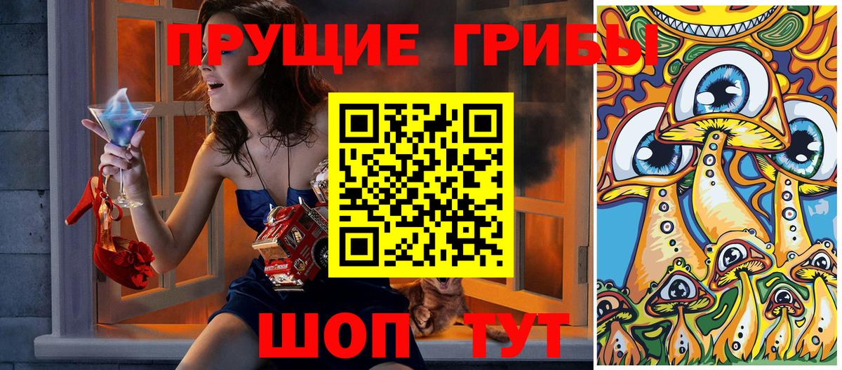 Псилоцибиновые грибы Psilocybe  Галлюциногенные грибы Psilocybe  Свободный  Вход с VPN 