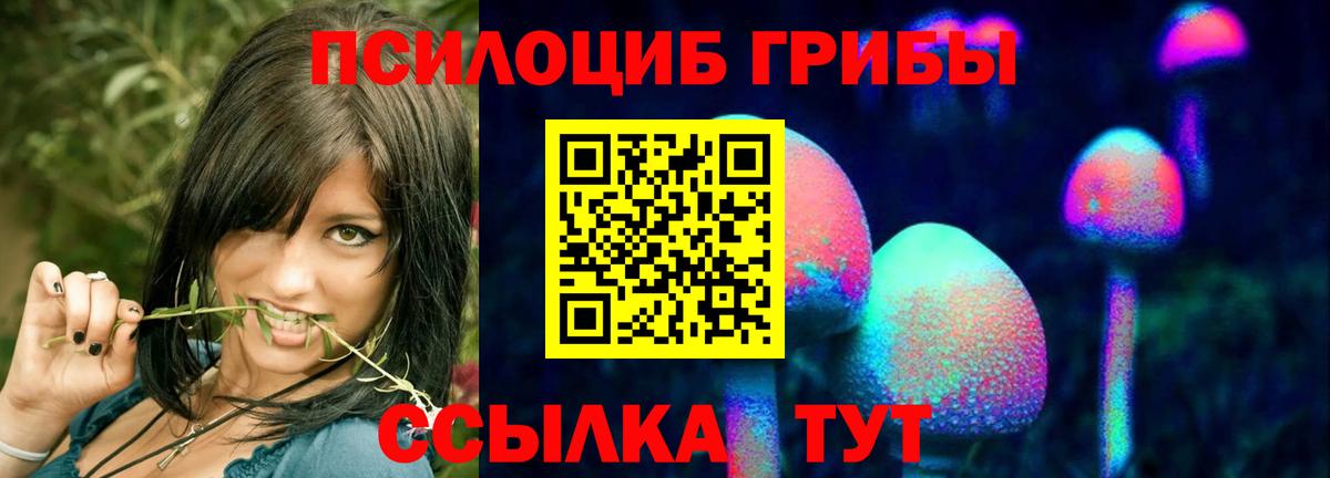 Псилоцибиновые грибы Magic Shrooms Свободный